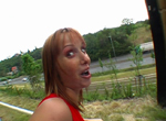 BangBros.com